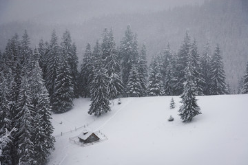 Fantastic landscape with snowy house