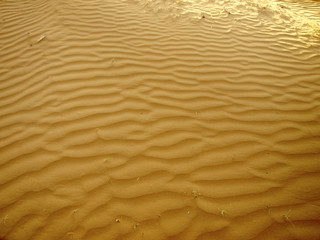 Desert sand texture