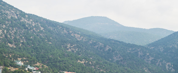 View of green mountains