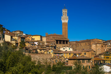 Fototapeta premium Torre del Mangia nel centro storico di Siena