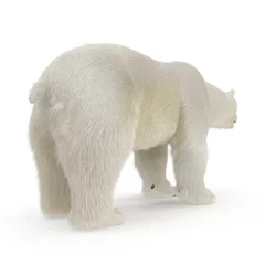 Foto op Canvas Large male Polar Bear on a white. 3D illustration © 2dmolier