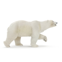 Obraz premium Duży samiec niedźwiedzia polarnego chodzenie na białym. Ilustracja 3D