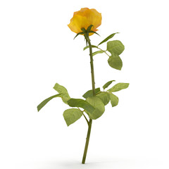 Single beautiful yellow rose isolated on white. 3D illustration