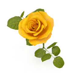 Single beautiful yellow rose isolated on white. 3D illustration