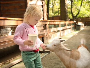 Cute little girl feeding funny goat in petting zoo