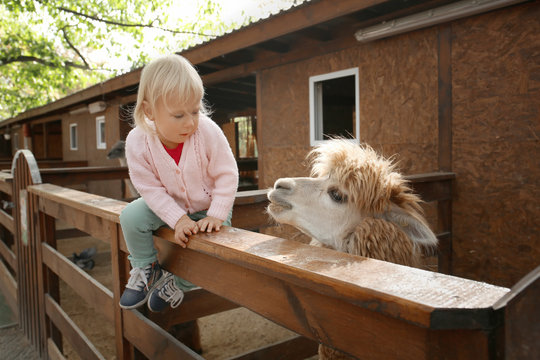 Cute little girl sitting on fence of enclosure in petting zoo