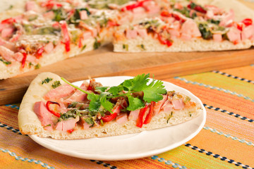 Piece of homemade pizza on a plate
