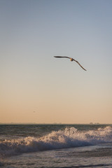 Beautiful sunset on the summer sea