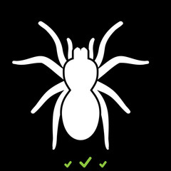 Spider or tarantula it is white icon .