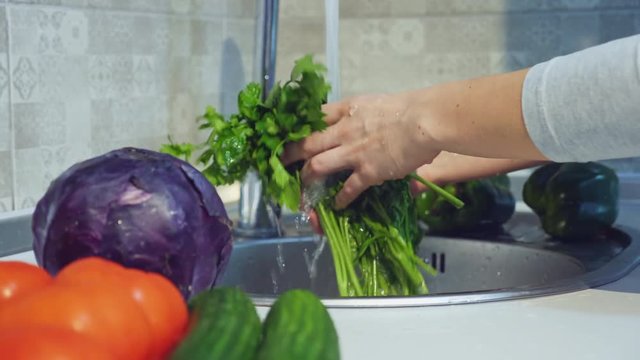 Woman washes a bunch of parsley. Health food. Eating at home.