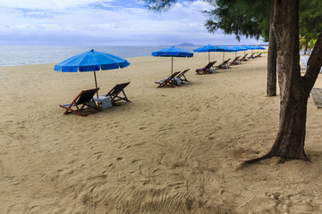 Beach chairs and blue beach umbrella on the sandy beaches near tree pine for tourists to sit and relax with cloud and blue sky