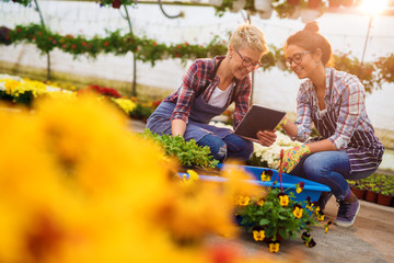 Two cheerful pretty curious florist girls having a conversation in the sunny greenhouse full of colourful flowers while kneeling and watching tutorials from a tablet. - obrazy, fototapety, plakaty