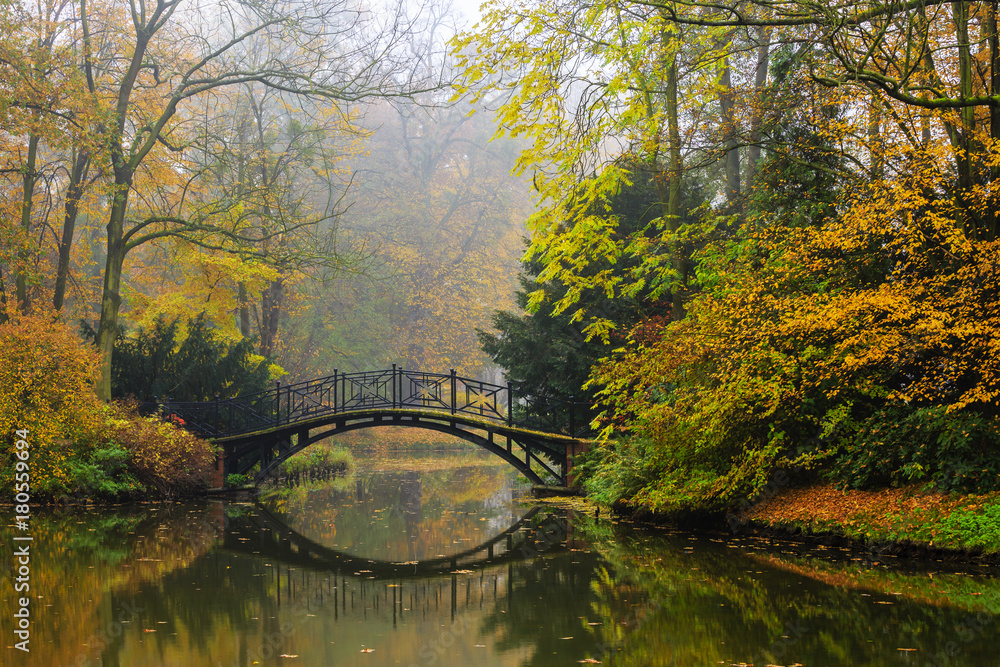 Leinwandbilder Scenic view of misty autumn landscape with beautiful old bridge in the garden with red maple foliage.