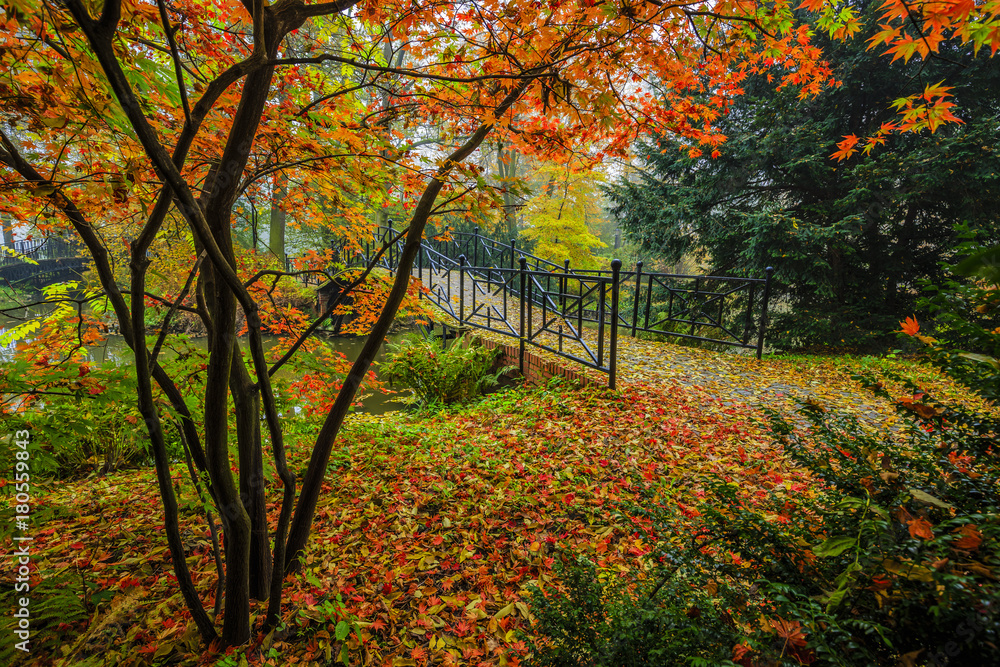 Poster scenic view of misty autumn landscape with beautiful old bridge in the garden with red maple foliage