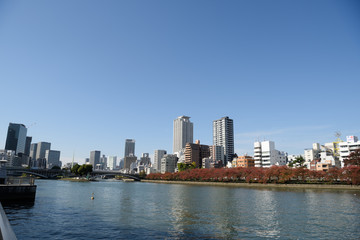 Fototapeta na wymiar 大阪の秋