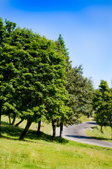 Road in the background of beautiful Carpathian mountains. Summer season