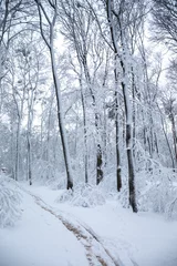 Foto auf Leinwand Snow-covered path in the park © Mallivan