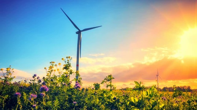 Country landscape with wind turbines. Ecological concept