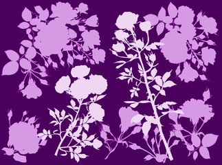 Fototapeta na wymiar purple composition with rose silhouettes