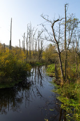 Tegler Fließ, Berliner Umland im Herbst