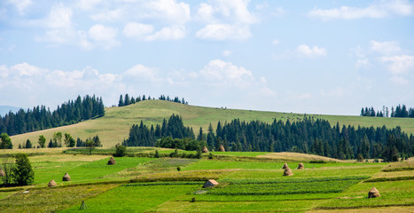 Fototapeta na wymiar Haystacks on a background of green beautiful Carpathian mountains