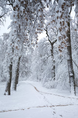 Crossing three paths