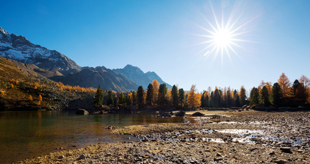 Fototapeta premium Val di Campo - Lago Viola - Svizzera