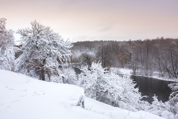 River in the winter
