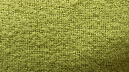Green Fluffy Texture