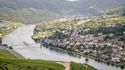 Moselausblick auf Wehlen