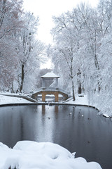 Chinese bridge in the park. Belaya Tserkov, Ukraine