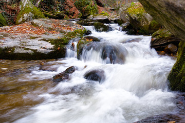 Fototapeta premium A waterfall in the mountains, autumn forest with foliage