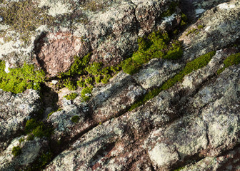 Textured red white and gray rocks with moss