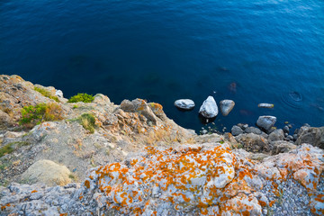 Rocky sea shore covered with grass and lichen