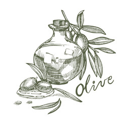 A branch of ripe olives is juicy poured with oil. Farmers market menu design. Organic food poster. Vintage hand drawn sketch vector illustration. Linear graphic.