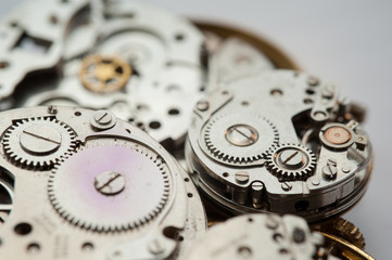 Detail of watch machinery on the table.