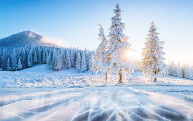 Fototapeta premium Blue ice and cracks on the surface of the ice. Frozen lake under a blue sky in the winter. Beautiful dawn, rays of the sun through the branches. Carpathian, Ukraine, Europe