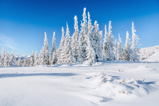 Fantastic winter landscape. Magic sunset in the mountains a frosty day. On the eve of the holiday. The dramatic scene. Carpathian, Ukraine, Europe.