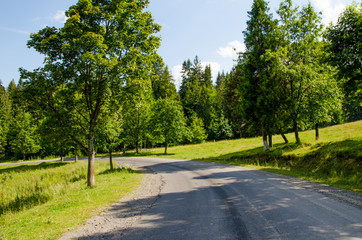 Fototapeta na wymiar Road in the background of beautiful Carpathian mountains. Summer season