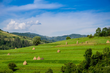 Haystacks on a background of green beautiful Carpathian mountains