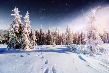 fantastic winter meteor shower and the snow-capped mountains. Carpathians. Ukraine, Europe