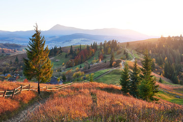 Amazing autumn morning scenery in mountains with meadow and colorful trees on foreground and fog...