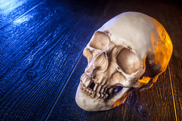 The skull lies on a black board. A human skull.