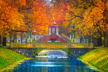 Russia. St. Petersburg. view of the park of Pushkin. Summer Park - obrazy, fototapety, plakaty