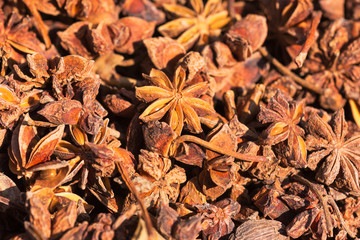 Anise stars in sunlight in a chinese market