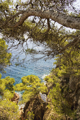 landscape in the costa brava in girona