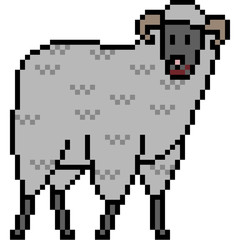 Fototapeta premium vector pixel art sheep