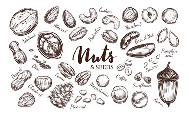 Nuts and seeds collection.4