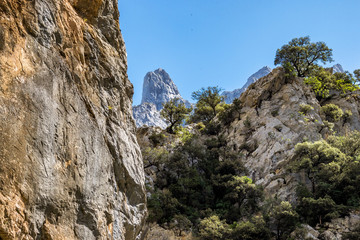 Spanien - Kantabrien - Picos de Europa - Garganta del Cares
