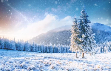 Foto op Canvas Mysterious winter landscape majestic mountains in winter. Magical winter snow covered tree. Photo greeting card. Bokeh light effect, soft filter. © standret